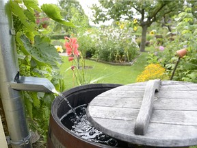 Rain barrel in the garden (Andreas Schulze/Fotolia)