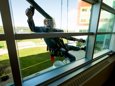 Thor washes windows at the Alberta Children's Hospital in Calgary, Alta., on Wednesday, Aug. 24, 2016. Four super-hero window washers refused to identify their secret identities, opting instead to wow kids through windows while cleaning the hospital's exterior.