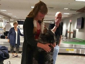 Thor, an Australian Shepherd Cross, is reunited with Bronwyn Mengering, 15, at the airport in Halifax, Nova Scotia on August 10, 2016. Thor had previously been stolen from his home in Fort St. John, BC. Despite initial thoughts the dog would not recognize Bronwyn, Thor leapt up to see his owner. PHOTO COURTESY OF DAWN MENGERING.