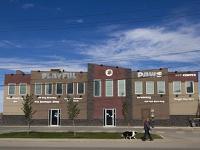 The Playful Paws pet center is located on 105th street in Saskatoon, Saskatchewan on Saturday, September 10th, 2016. (Kayle Neis/Saskatoon StarPhoenix)