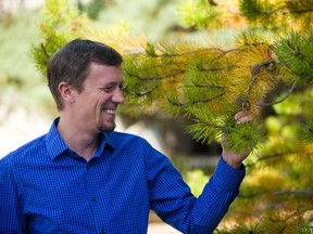 Faculty of Science researcher Sam Yeaman, and international colleagues, have found two commercially valuable tree species use the same limited number of genes to adapt to local climates.