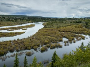 HOLD FOR SEVEN WONDERS PROJECT --  The Weaselhead natural area stands in Calgary, Alta., on Tuesday, Sept. 6, 2016. Lyle Aspinall/Postmedia Network