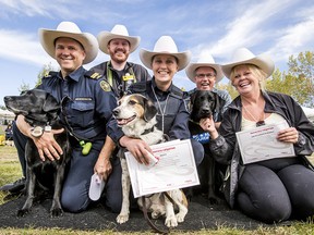 (L-R) Fire investigator Brad McDonald, with his dog Honey; off-leash ambassador Jake Sherlock; Laura Hiscott of the Canada Border Services Agency, with Rusty; Kurt Ruhwald of Alberta Guide Dogs, with his dog Millie; and off-leash ambassador Kim Richardson Bendle pose for a photo after being white-hatted during Working Dogs Day at Bowmont Off-Leash Park in Calgary, Alta., on Saturday, Sept. 17, 2016. The city-hosted event brought together 15 working-dog organizations and white-hatted five people for their dog-related efforts. Lyle Aspinall/Postmedia Network