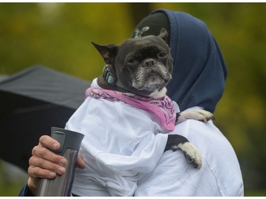 Four-legged supporters participated in the Ovarian Cancer Walk of Hope at North Glenmore Park in Calgary, Alta., on Sunday, Sept. 11, 2016. Elizabeth Cameron/Postmedia