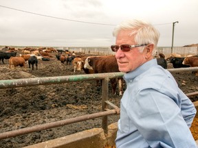 Ben Thorlakson, president of Thorlakson Feedyards, at his facility east of Airdrie, Ab., on Thursday September 22, 2016. Mike Drew/Postmedia