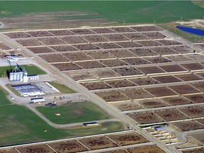 The feedlot west of High River will be shutting down. — Photo by Lorraine Hjalte/Calgary Herald.  
DATE PUBLISHED JULY 20, 2003.