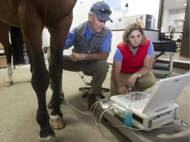 Spruce Meadows veterinarian Dr. Dan French does an ultra sound on a horses leg along with fellow vet Dr. Lucia Rangel, from Mexico, Friday September 9, 2016 during The Masters.