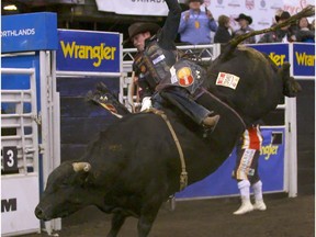 Scott Schiffner rides Attitude Dude in the bull riding event at the Canadian Finals Rodeo at Rexall Place in Edmonton on November 12, 2015.