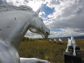 Vintage, coin-operated horses repurposed as art.