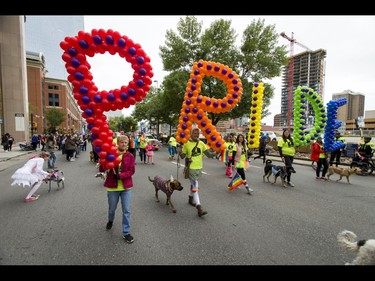 Bowdog representatives walk in the Calgary Pride Parade in the city's downtown core on Sunday, Sept. 4, 2016. About 60,000 people were expected to watch the annual parade, as more than 125 entries took part. Lyle Aspinall/Postmedia Network