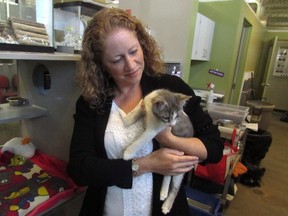 Sage Pullen McIntosh from the Calgary Humane Society holds one of the adoptees at its shelter. The society has had a rush of animals surrendered by Calgarians who have lost their jobs, prompting reader to suggest it's time to start a food bank for pets.