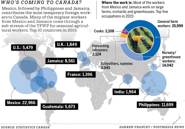 Temporary foreign workers graphic
