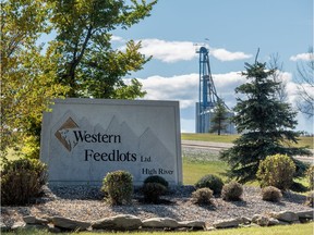 Western Feedlots, west of High River, is expected to shut down in 2017.