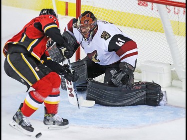 The Calgary Flames' Mikael Backlund ties to catch a loose puck to score on Arizona Coyotes goaltender Mike Smith during the second period of their NHL preseason game at the Scotiabank Saddledome in Calgary, Wednesday Oct. 5, 2016.