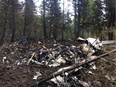 The wreckage of a Cessna Citation which crashed on October 13, 2016, is seen in the woods near Lake Country, B.C., in this October 15, 2016, Transportation Safety Board handout image. The aircraft crashed shortly after takeoff, killing the pilot and all three passengers aboard, including the former Alberta Premier Jim Prentice. THE CANADIAN PRESS/HO-TSB, *MANDATORY CREDIT* ORG XMIT: CPT604