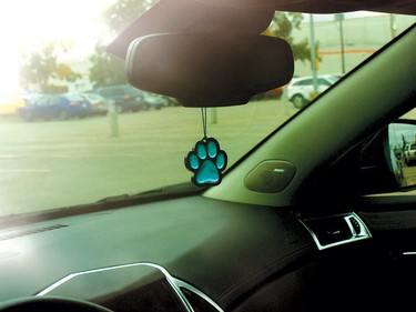 blue-paw