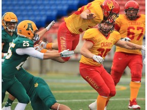 University of Calgary Dinos running back Bryce Harper goes airborne to avoid a U of A Golden Bears tackle during Canada West football action at McMahon Stadium in Calgary on Saturday Oct. 1, 2016.