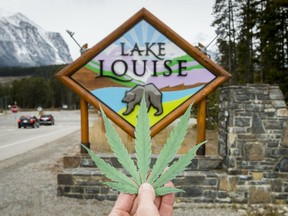 A paper cutout of a cannabis leaf is shown for a photo illustration at the entrance to the village of Lake Louise, Alta., about 180 km west of Calgary, Alta., on Thursday, Oct. 13, 2016. Lake Louise is the top spot in Canada per capita for marijuana busts. Lyle Aspinall/Postmedia Network