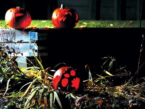 Buckmaster Park in Bankview holds an event on November 1 every year to display your jack-o'-lantern one last time.