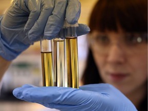 A technician compares samples of lubricant oil.