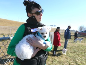 Leslie-Anne McPherson and her dog Kipper listen to an instructor during The City of Calgaryís dog recall training  on Saturday October 22, 2016 held at the Auburn Bay off leash area. The program engages volunteer ambassadors to promote positive pet interactions and safety in Calgaryís off-leash parks. Dog owners register ahead of time for this training and learn from certified professional dog trainers (CPDT) how to keep their dogs under control at all times, as required by the Responsible Pet Ownership Bylaw. Jim Wells/Postmedia