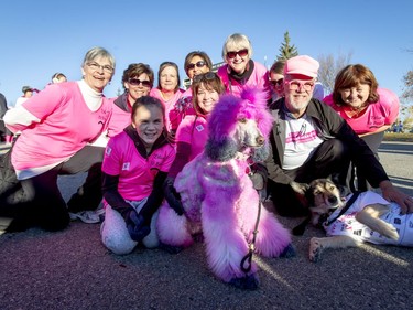 The 'Olive Us Boobs' team poses for a photo during the Canadian Breast Cancer Foundation CIBC Run for the Cure at Southcentre Mall in Calgary, Alta., on Sunday, Oct. 2, 2016.