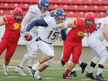 UBC Thunderbirds quarterback Michael O'Connor is under pressure from the Calgary Dinos during the Hardy Cup at McMahon Stadium in Calgary on Saturday November 12, 2016.