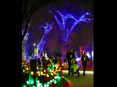 Calgarians enjoy the Calgary Zoo's Zoolights on Sunday November 27, 2016.