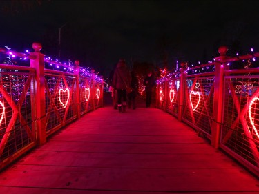 Calgarians enjoy the Calgary Zoo's Zoolights on Sunday November 27, 2016.