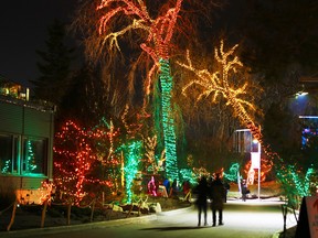 The 19th-annual Zoolights celebration is on now at the Calgary Zoo and will run nightly from 6pm to 9pm until Jan.8, 2017.