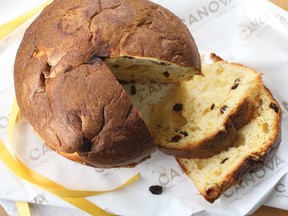 Canova Panettone.