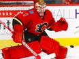 Calgary Flames goalie Brian Elliott.