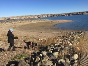 Cindy Sawchuk and her dog Hilo search the shore of the Tiber Reservoir in Montana for invasive mussels.