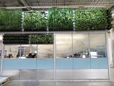Each DIRTT factory contains a “fishbowl,” a glass-walled room where orders are engineered and sent to machines on the factory floor. Above the glass is a green wall of living plants.