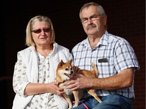 Naudia and Leonard Sztym, with Willow in Calgary on Tuesday November 8, 2016. The Sztyms lost two other dogs, Jasper and Casey, after they were allegedly mauled during a stay at a Red Deer kennel last week. Al Charest/Postmedia Network