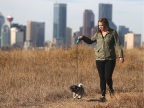 George the pug enjoys a walk with his owner Jordan on the pathway overlooking downtown Calgary along 26th Street SE Monday November 7, 2016. (Ted Rhodes/Postmedia Calgary )