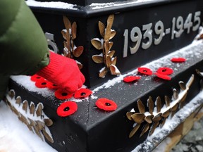 Legion branches in Alberta and the Northwest Territories raised more than $5.3 million through the sale of poppies last year.