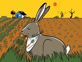 When winter rolled in last year, a hare took up residence in a man’s backyard. When summer arrived and the lettuce came up, the hare helped itself. The man began contemplating Hassenpfeffer.