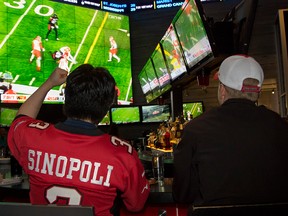 Maurice Lee, left, and Luke Hume, cheer for the Stampeders while watching the Western Conference Finals at Shark Club sports bar grill in Deerfoot Meadows on November 20, 2016.