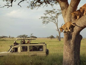 Take your running routine to a niew high by joining a half marathon in the Serengeti.