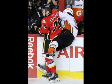 Michael Ferland checks Kevin Bieksa into the boards  during NHL action between the Calgary Flames and Anaheim Ducks at the Scotiabank Saddledome in Calgary on Thursday December 29, 2016.