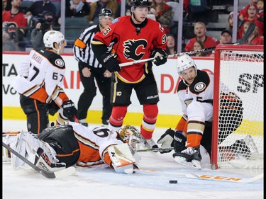 Anaheim Ducks goaltender John Gibson stretches to stop this Calgary Flames scoring chance during the NHL action  at the Scotiabank Saddledome in Calgary on Thursday December 29, 2016.