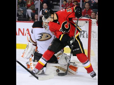 Calgary Flames forward Alex Chiasson looks to get the puck past the pads of Anaheim Ducks goaltender John Gibson during NHL action against the Calgary Flames at the Scotiabank Saddledome in Calgary on Thursday December 29, 2016.