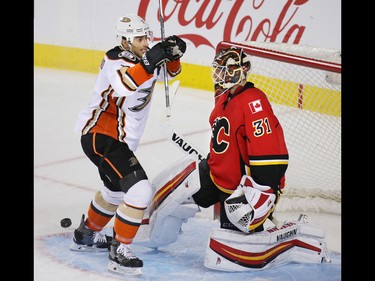 The Anaheim Ducks Andrew Cogliano celebrates his team's goal on Calgary Flames goaltender Chad Johnson during NHL action at the Scotiabank Saddledome in Calgary on Thursday December 29, 2016.