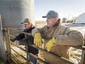 Ranchers Jeff Lewandoski (L) and Brad Osadczuk look at an empty pasture at Osadczuk's ranch near Jenner, Alta., about 250 km east of Calgary, on Tuesday, Dec. 13, 2016.