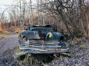 The Paskapoo Slopes porve fruitful for a wanderer armed with curiousity and a camera.