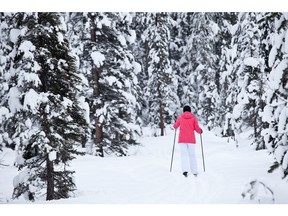 Dawn Penner skiing through the Alluvial Fan Loop Trail at Emerald Lake.