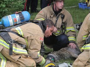 FILE PHOTO - Firefighters give oxygen to one of two dogs they rescued from a house fire at 6316 24 ave. in NE Calgary, Alta. on Tuesday June 23, 2015. Stuart Dryden/Calgary Sun/Postmedia Network