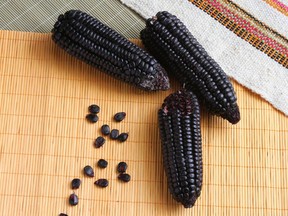 Purple corn and other purple vegetables are among the food trends for 2017.