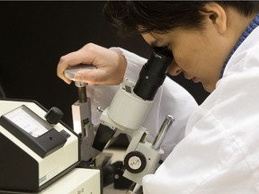 Researchers work in a lab at the Katz Group Centre for Pharmacy and Health Research in Edmonton, in this file photo.
